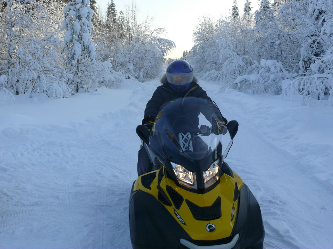 Алексей Щербаков | Петрозаводск