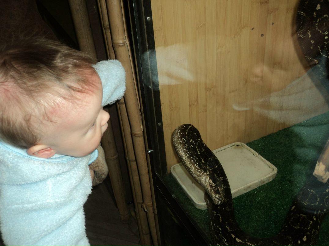 Вячеслав Трофимовский | Санкт-Петербург