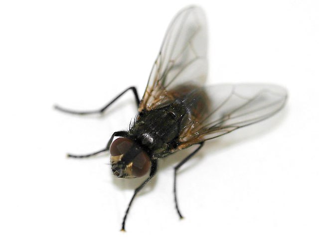 Наталья Бондарс ~*~*~Natarella~*~*~ | Берегово