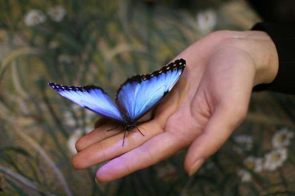 Рита Кравченко | Москва