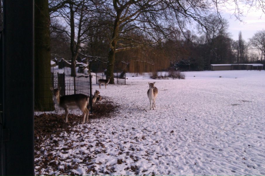 №29, Юлия Леонтьева, Utrecht №29, Юлия Леонтьева, Utrecht