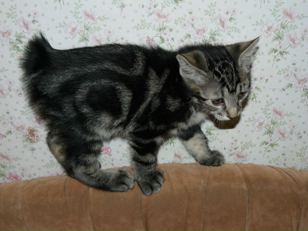 Елена Стожкова | Пермь