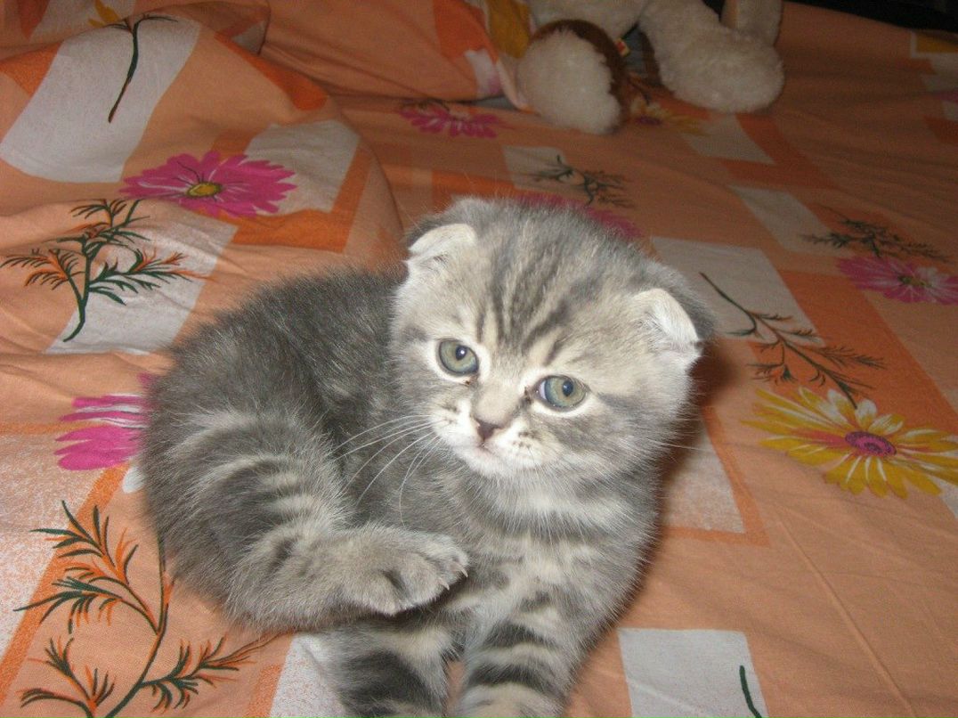 Наталья Петрова | Москва