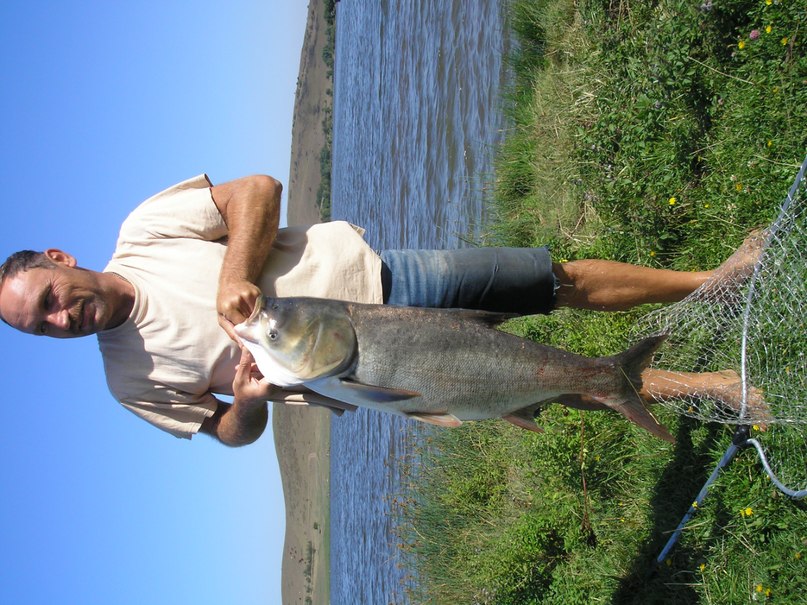 Ирина Величко петровна | Торез