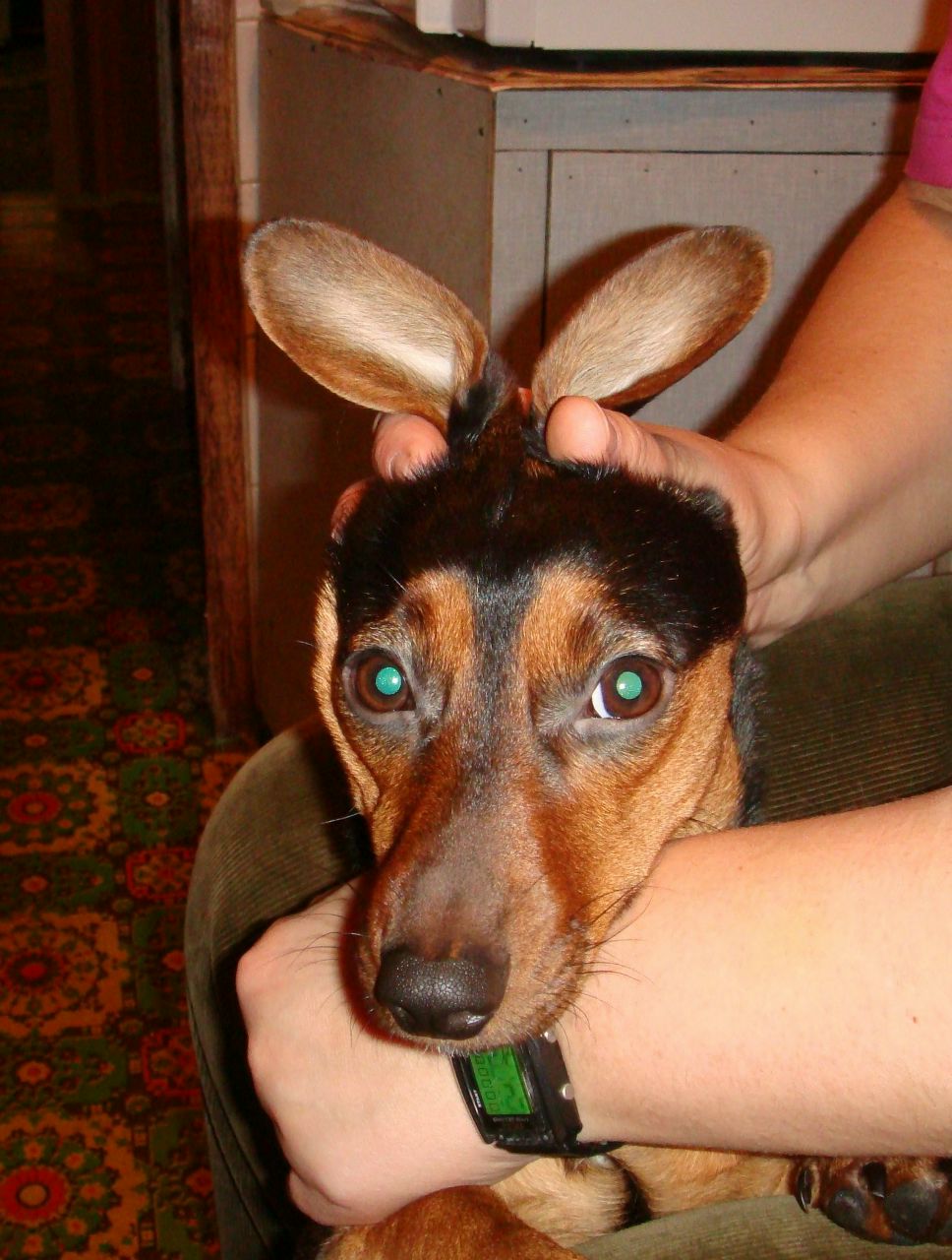 Даниил Власенко | Тверь