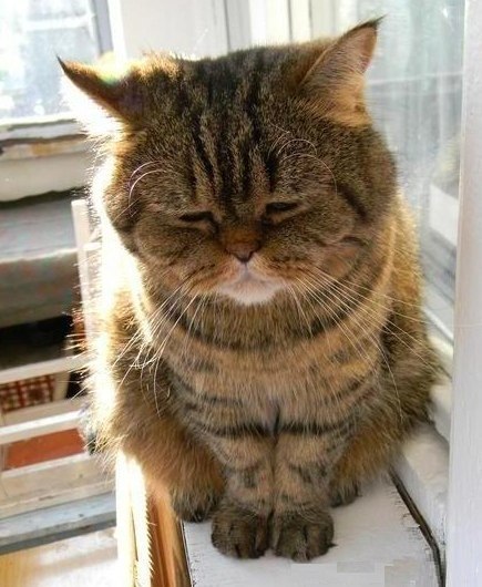 Адильбек Алтынов √ιק | Караганда