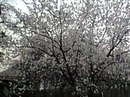 №23 Олеся Зима : профиль, фото, статус - ВКонтакте №23 Олеся Зима : профиль, фото, статус - ВКонтакте