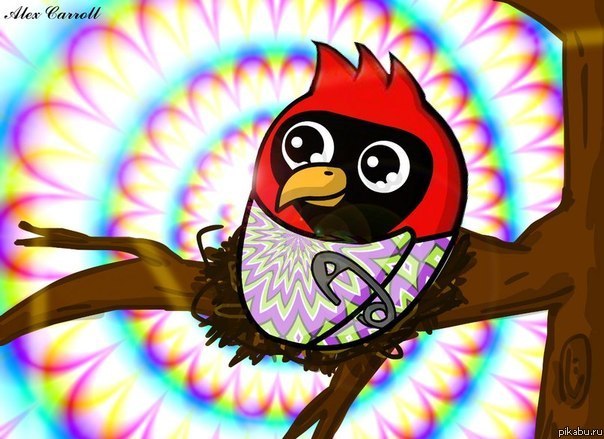 Павел Преображенский | 