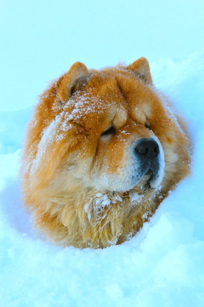 Надежда Гриценко | Уфа