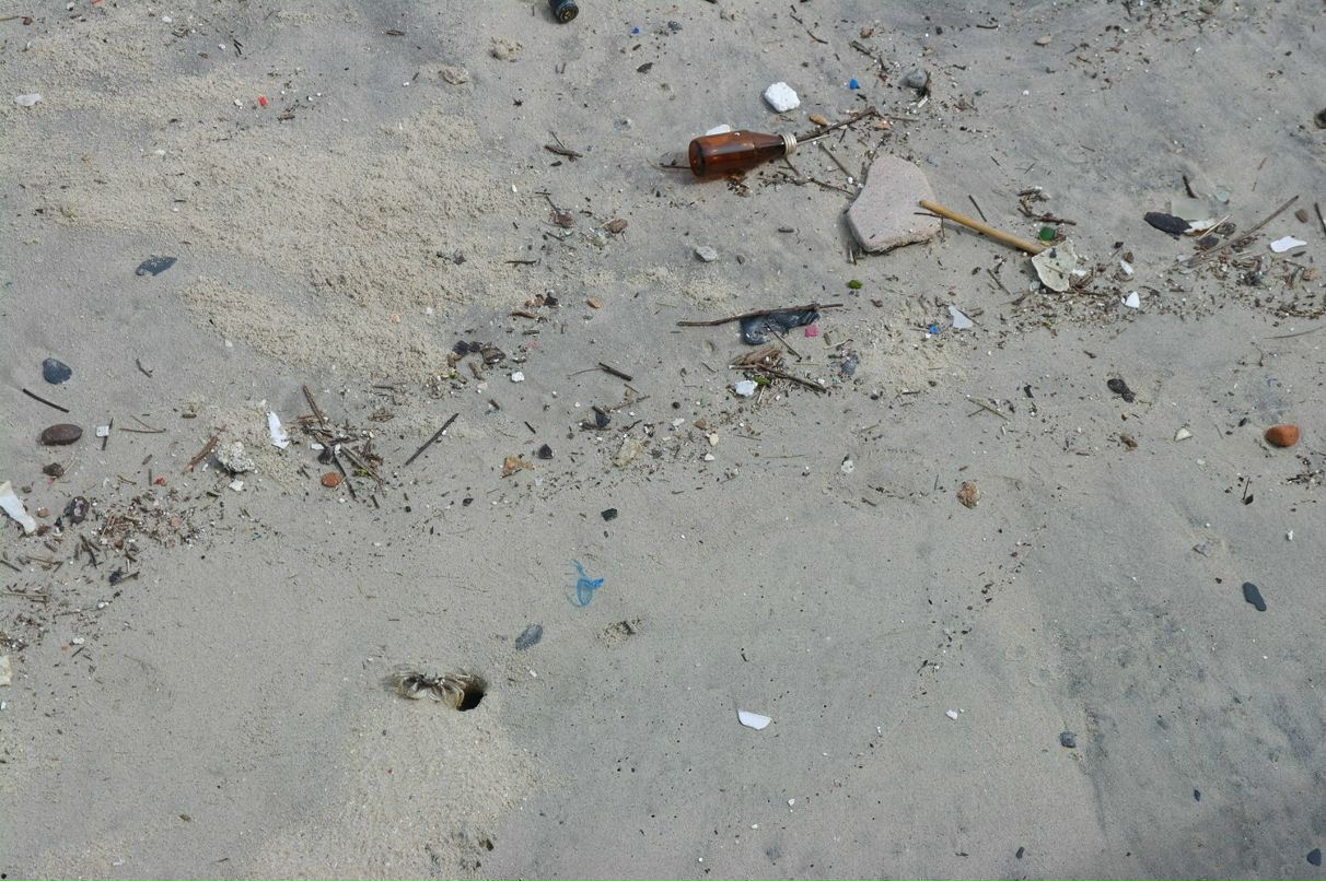 Анастасия Санкина | Москва