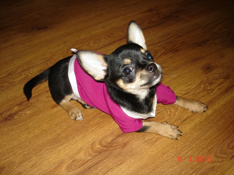 Оксана Маевская | Кингисепп