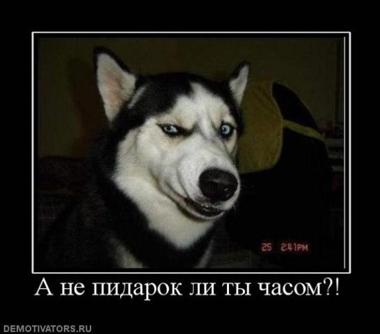 Андрей Бубнов | Магнитогорск