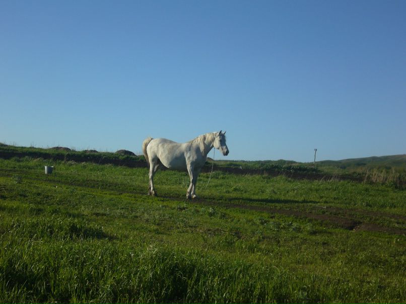 Анастасия Павлова | Оренбург