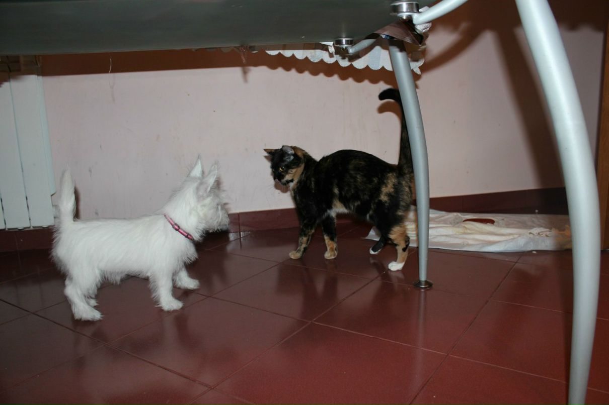 Виктория Качур | Киев