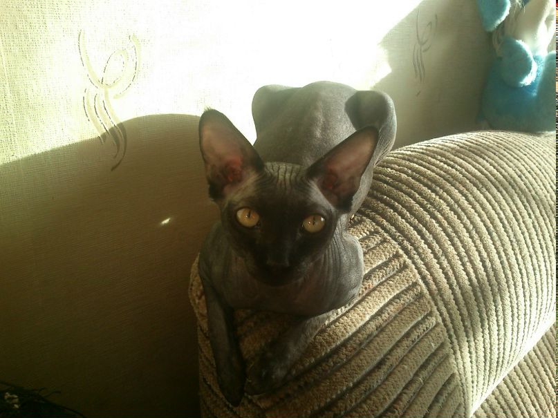 Марина Демидова | Нижний Новгород