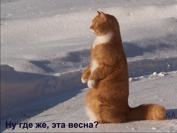 Ir Pyzh | Санкт-Петербург