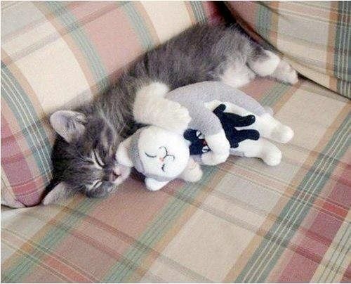 Лана Морева | Ивантеевка