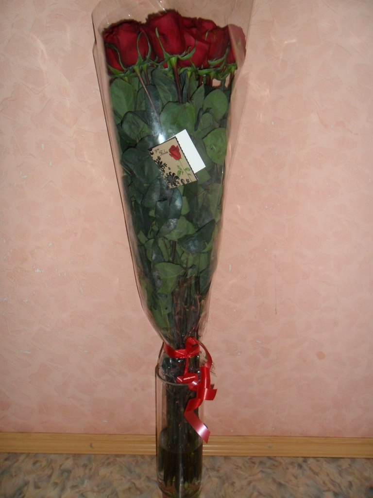 Екатерина Гераскина | Екатеринбург