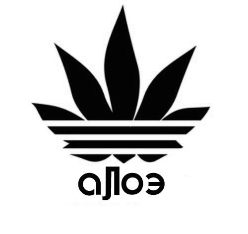 Максим Бурмистров | Екатеринбург