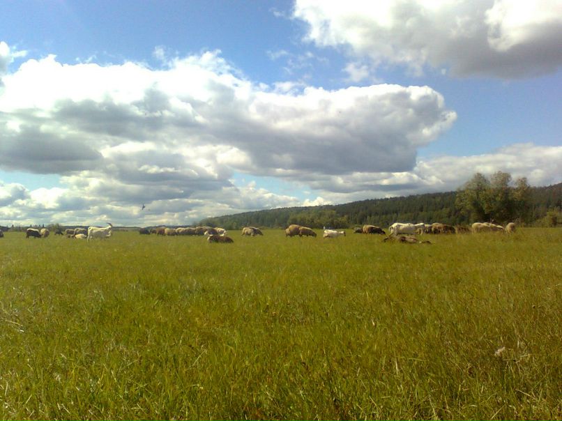 Айрат Дюкин | Ижевск