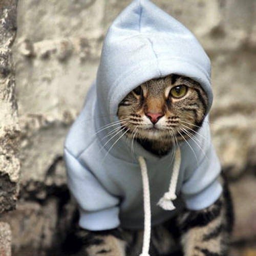 Арслан Алиев ....zver_sabach..... | Киев