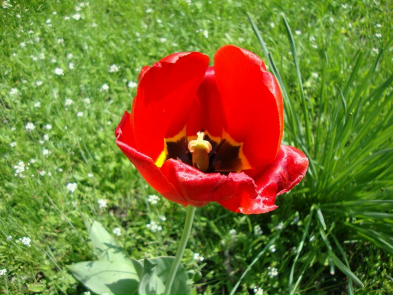 Елена Полякова | Днепр (Днепропетровск)