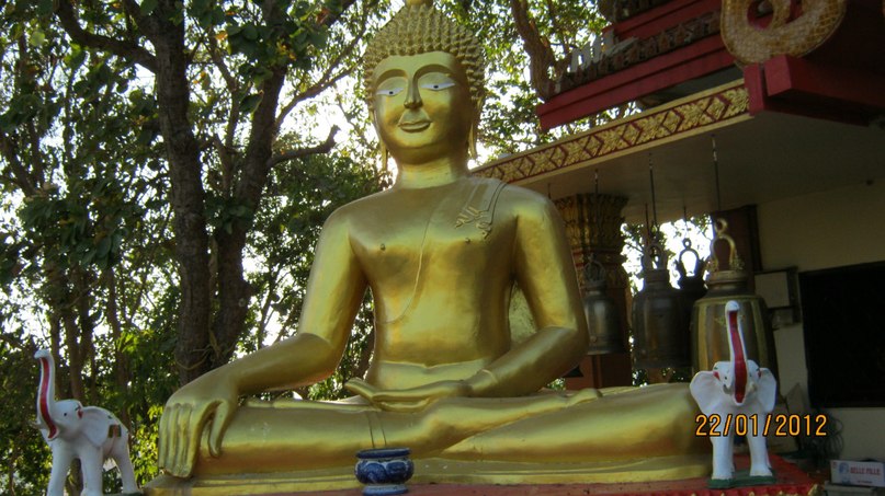 Татьяна Звягина | Староминская