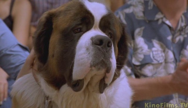 Елена Smailik | Минск