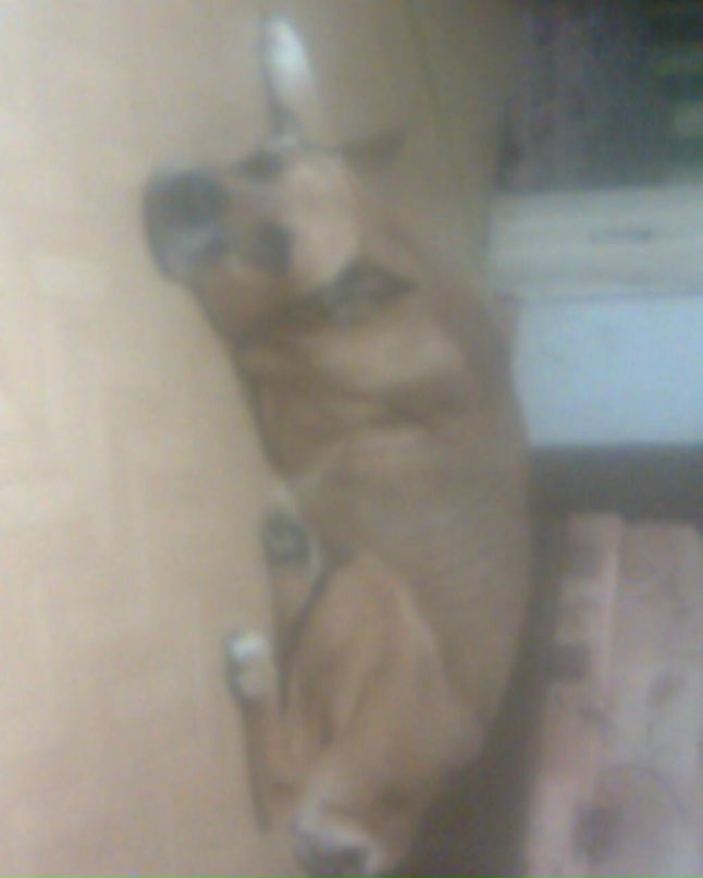 Роман Антонов | 