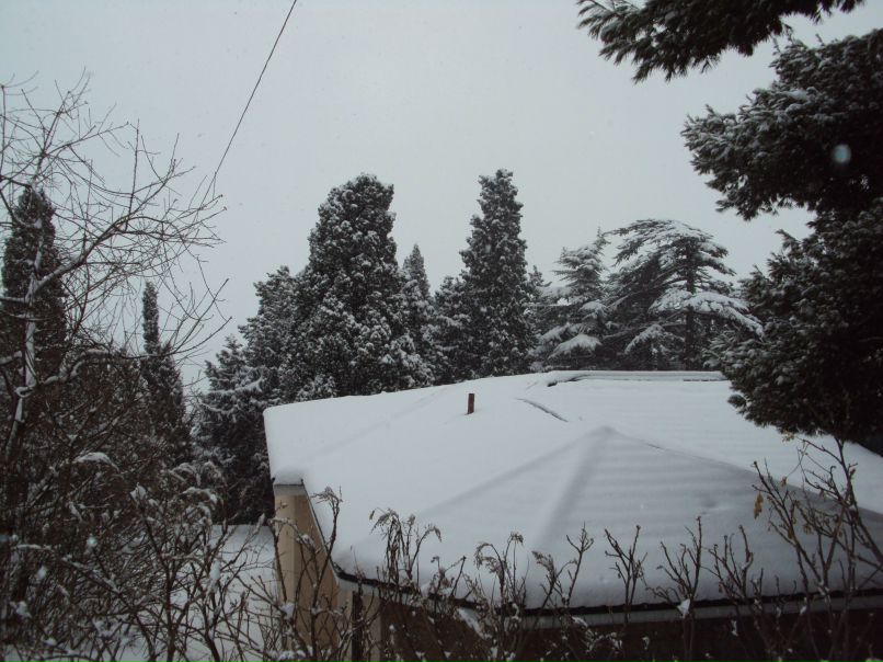 Tanya Negenko | Ялта