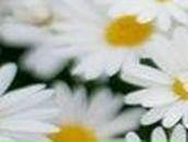 Кристина Фатьянова *Розкажи,мені на картах,де ти є* | Одесса