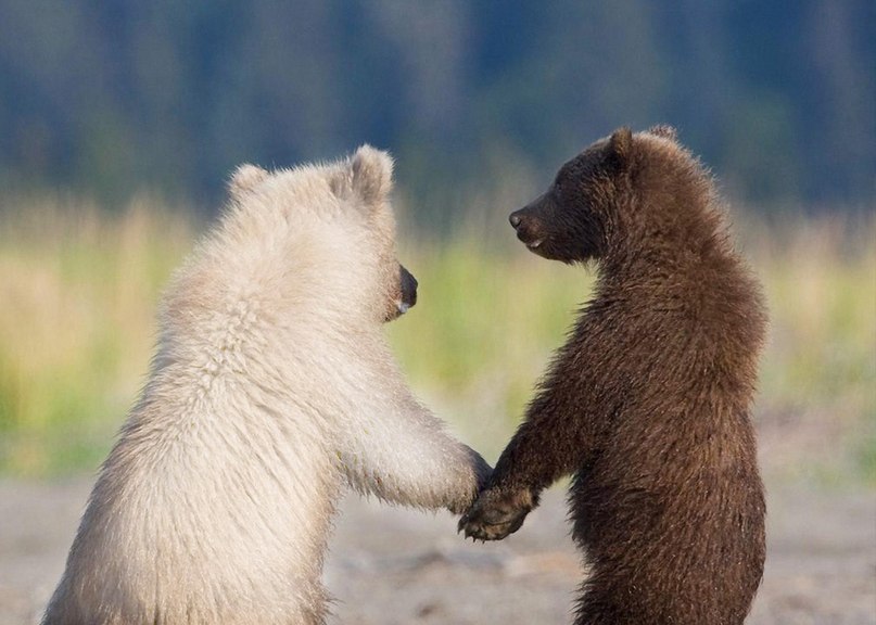 Индира Низамутдинова | Москва