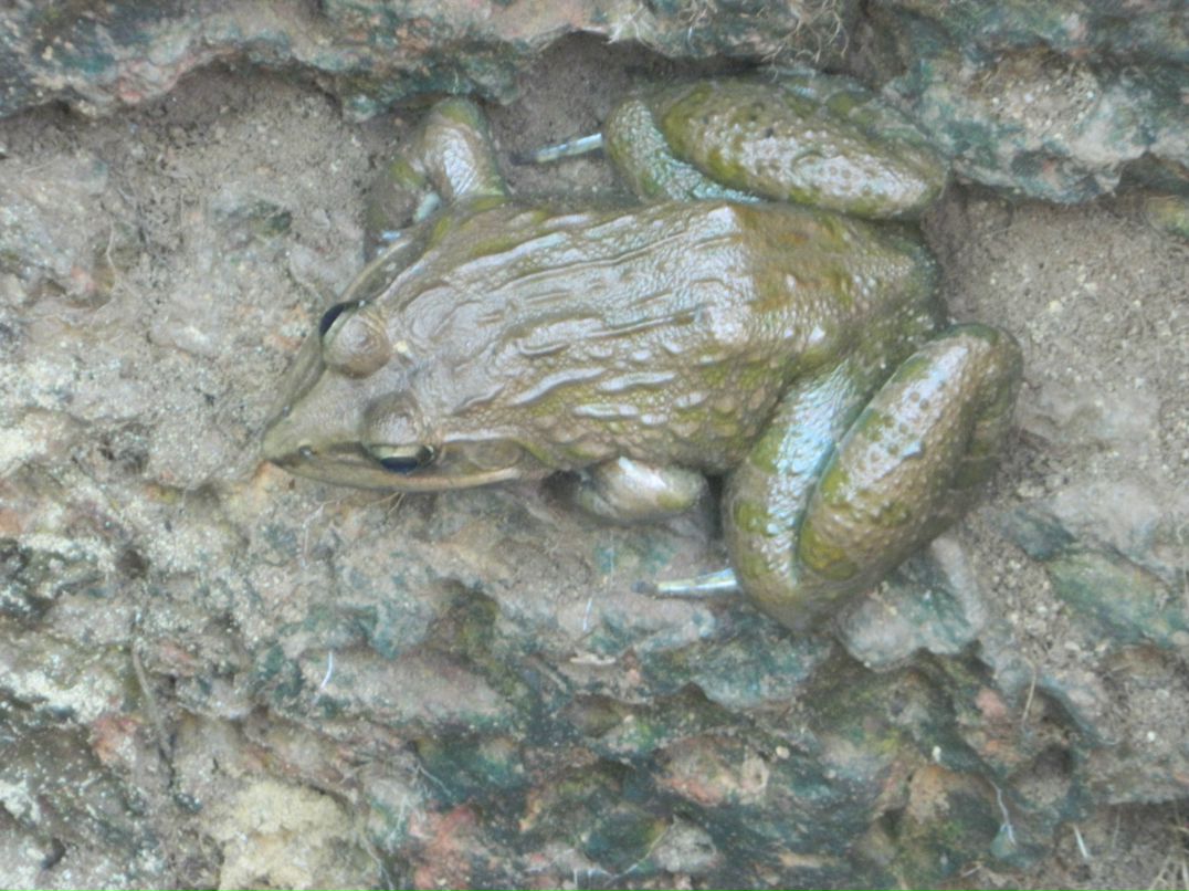 Манюнечка Павлова | Москва