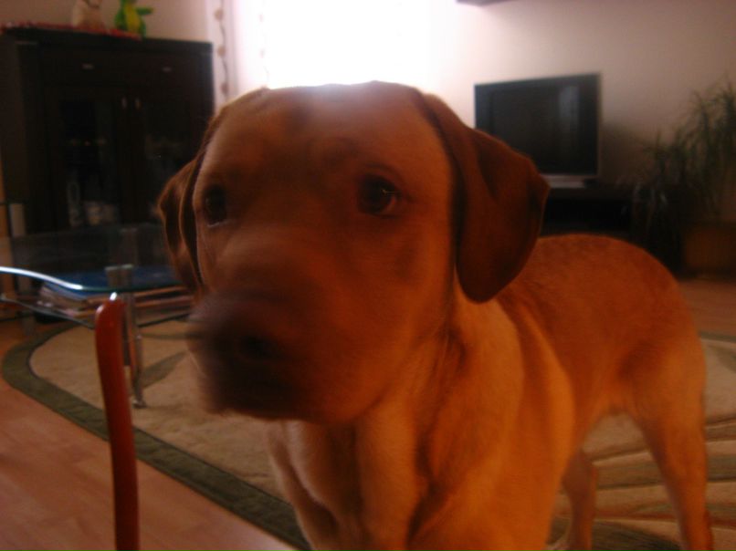 Владимир Гамзинов Ne OH | New York City