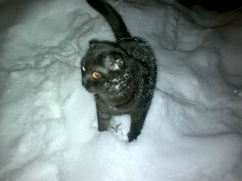 Марина Улыбина | Краснослободск