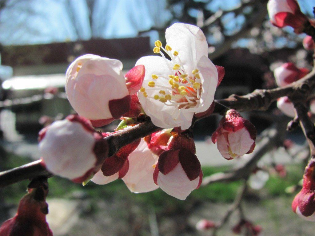 Андрей Немировский | Днепр (Днепропетровск)