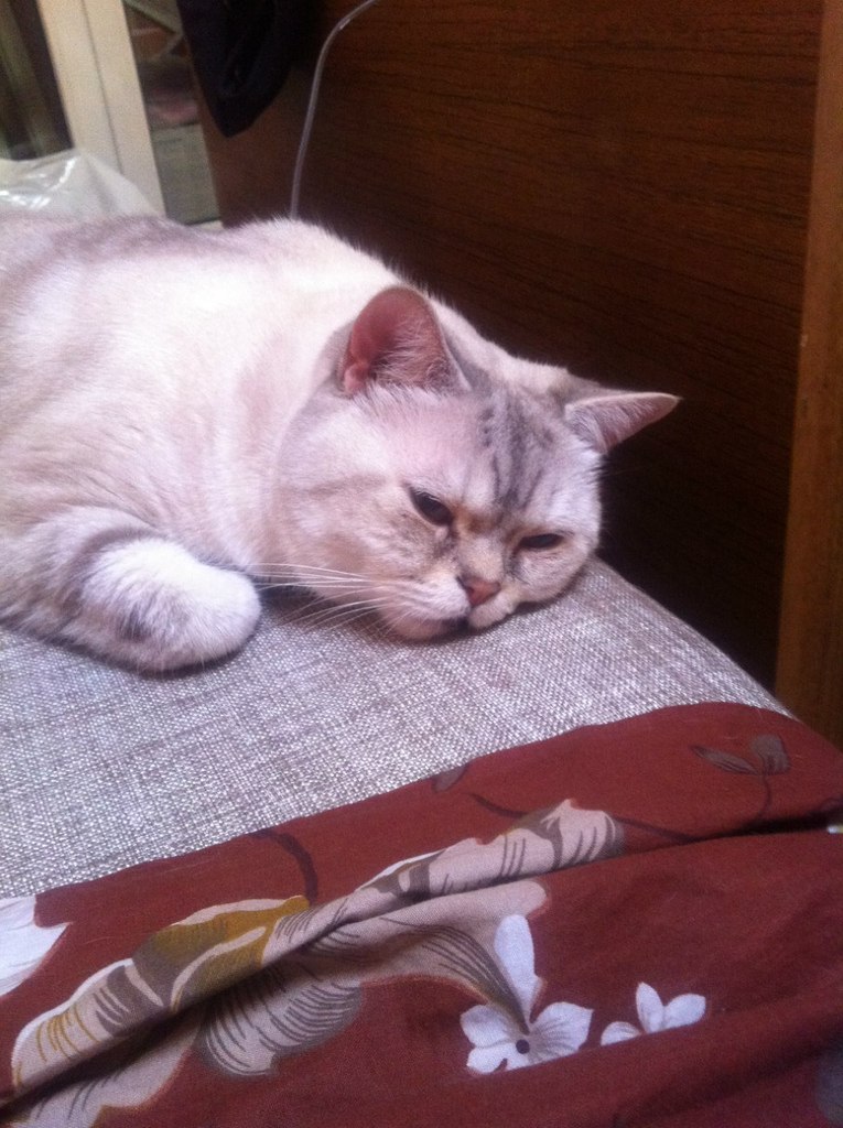 Диана Гадалова | Казань