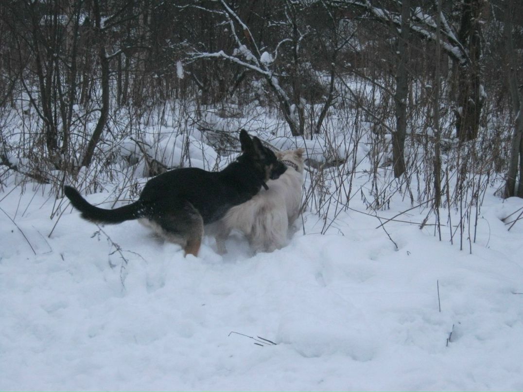 Елена Острова | Санкт-Петербург