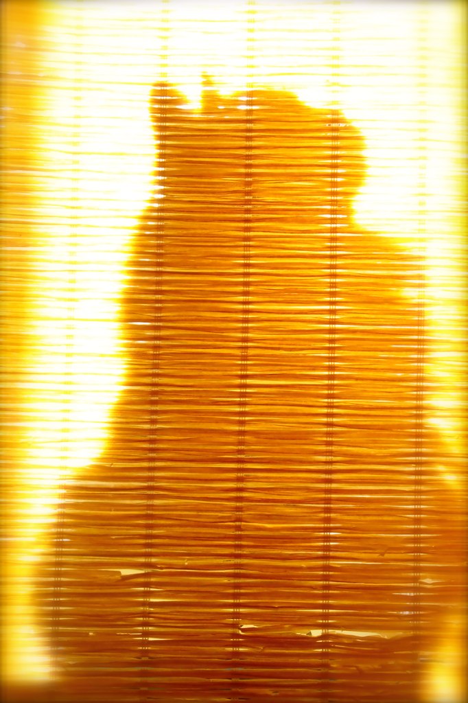 Аня Бочканова | Москва