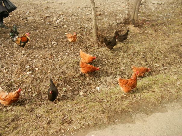 №4, Галина Зуева, Кунгур №4, Галина Зуева, Кунгур