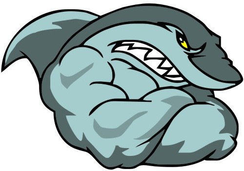 Роман Титаренко | Ростов-на-Дону