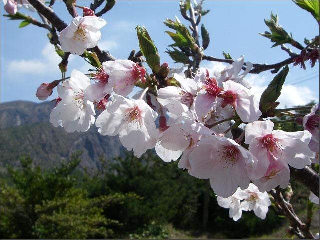 Айгуль Суюндукова | Уфа