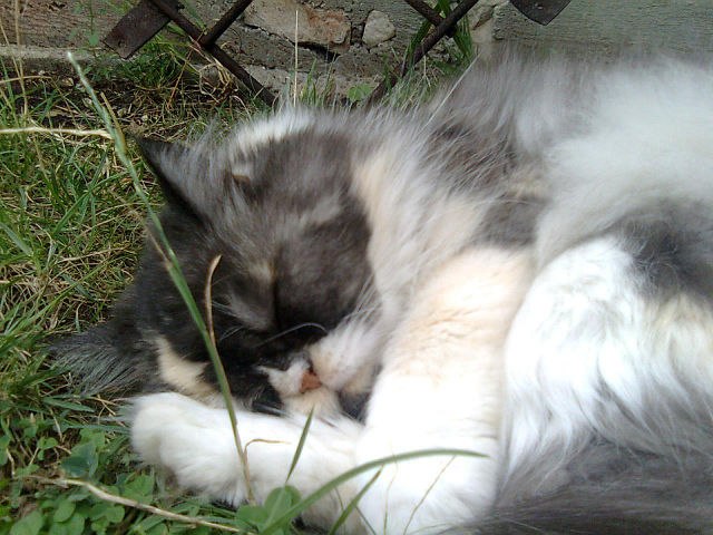 Александра Якушева | Тольятти