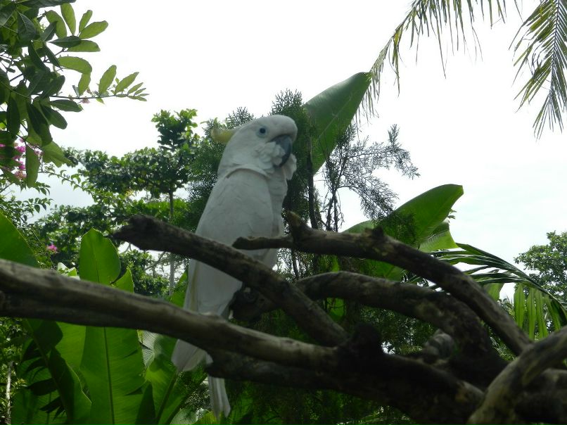 Ринат Шарафеев | Казань