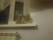 №3 Женя Петров : профиль, фото, статус - ВКонтакте №3 Женя Петров : профиль, фото, статус - ВКонтакте