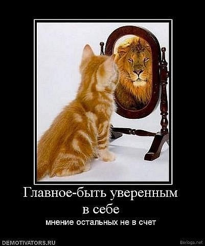 Андрей Илияшик | Кривой Рог