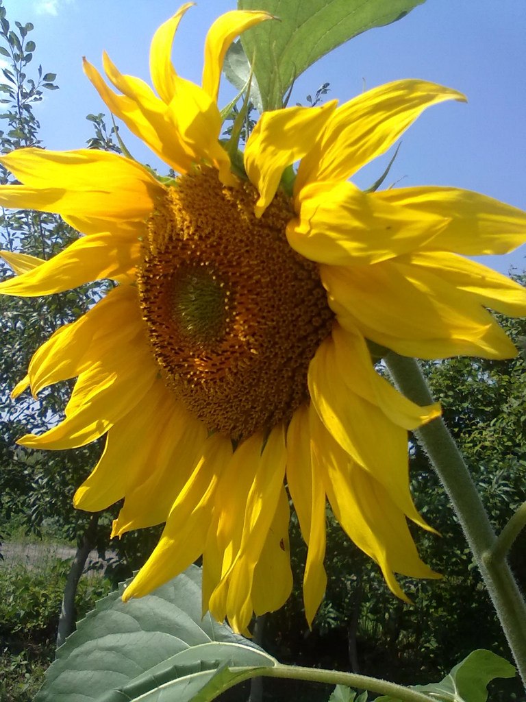 Надя Богачёва | Москва