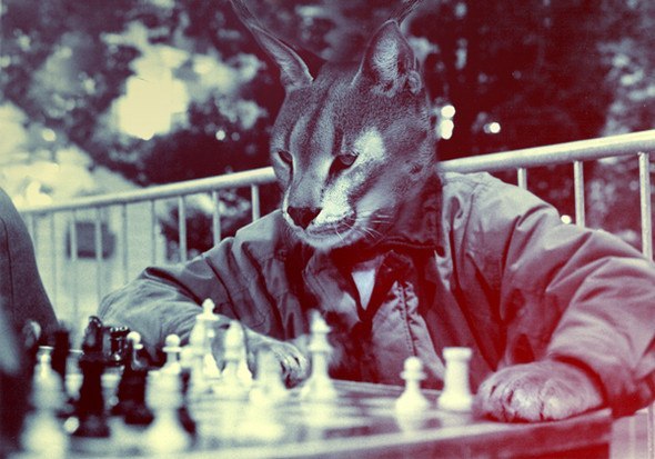 Максимилиан Караваев | Санкт-Петербург