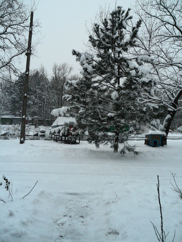 Андрей Герасименко | Запорожье