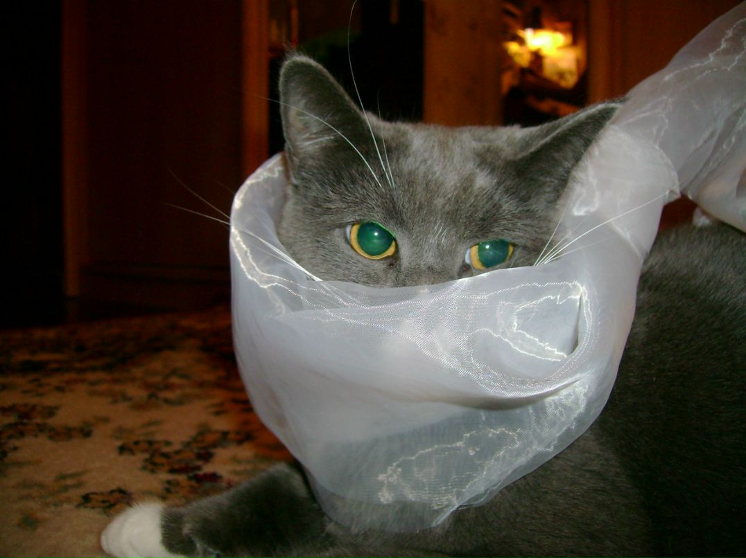 Алёна Александрова | Санкт-Петербург